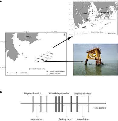 Indo-Pacific finless porpoises presence in response to pile driving on the Jinwan Offshore Wind Farm, China